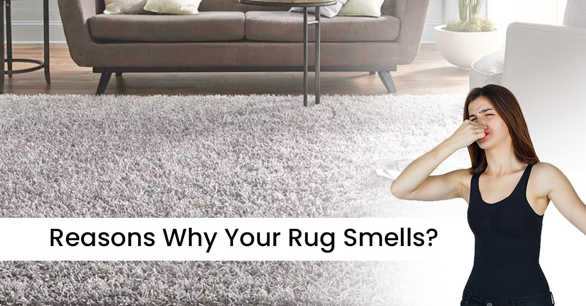 Reasons Why Your Rug Smells?