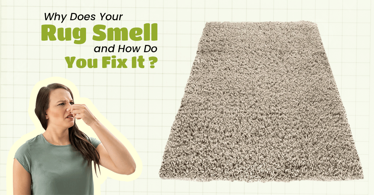 Why Does Your Rug Smell and How Do You Fix It?